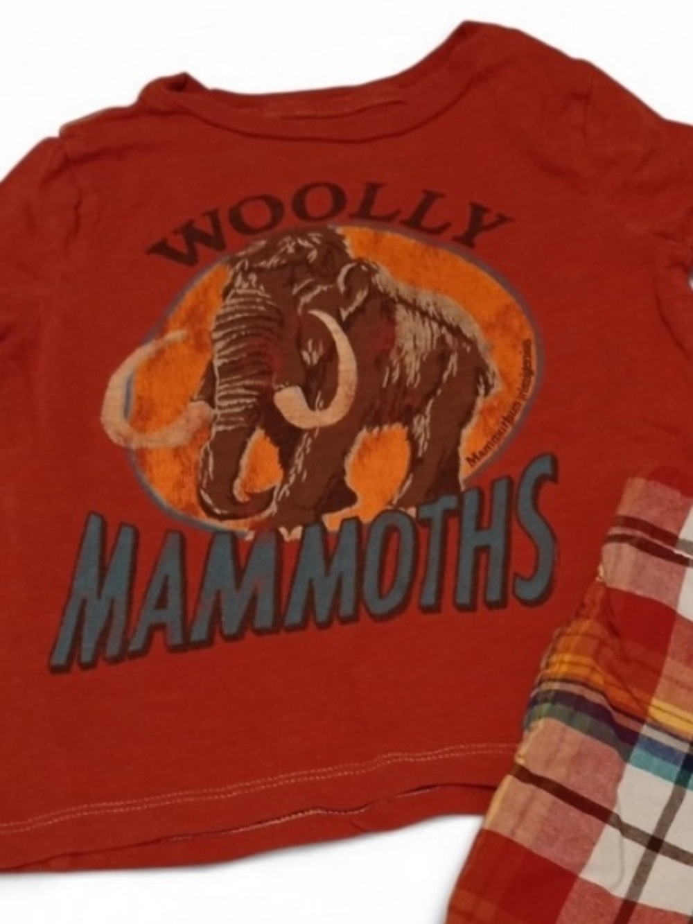 Woolly Mammoths Graphic Tee & Plaid Shorts Set - Rust/Multicolor